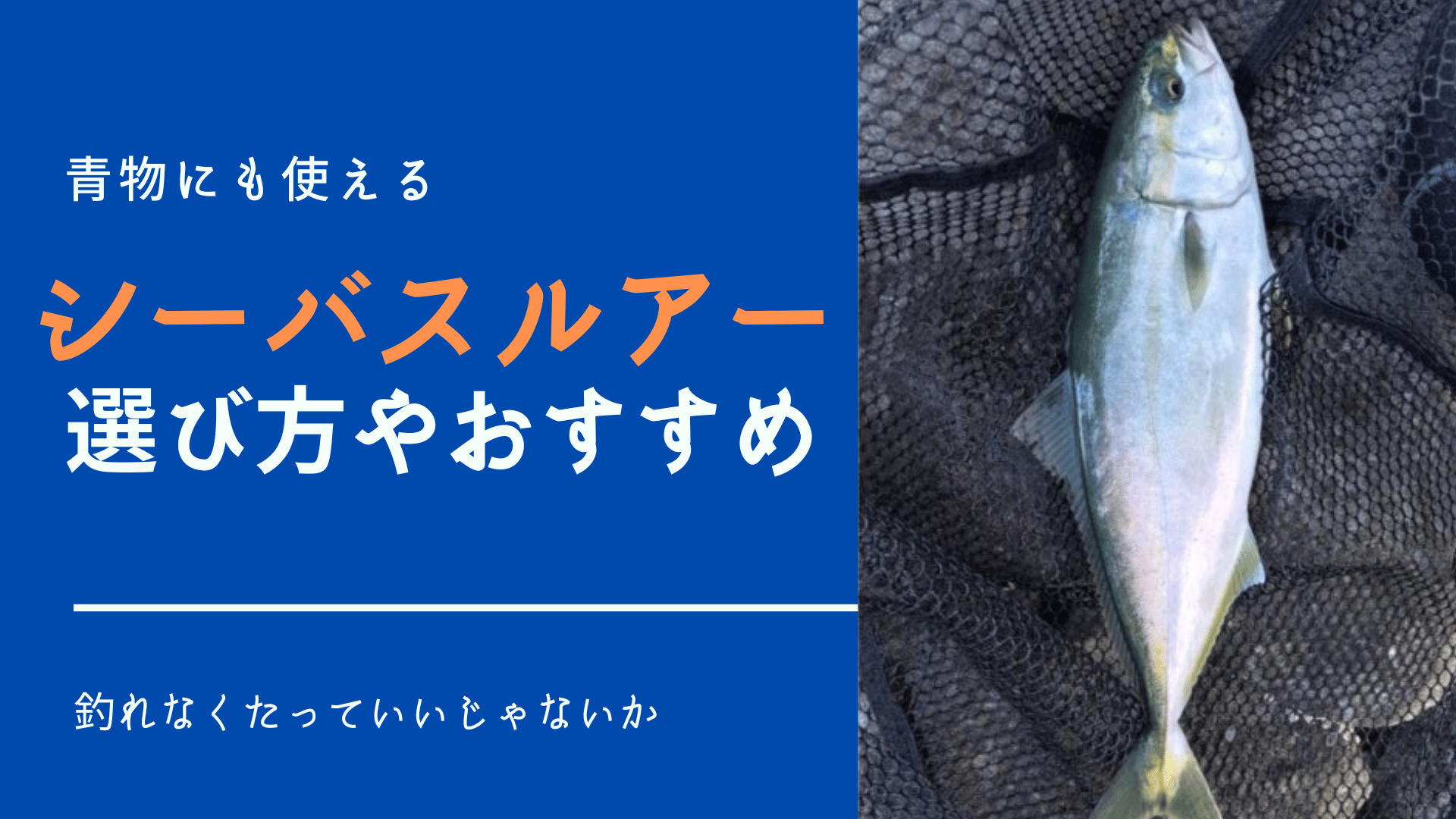 青物も釣れるシーバスルアー！シーバスタックルでも扱えるおすすめ 