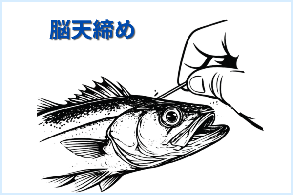 脳天締めを解説したイラスト