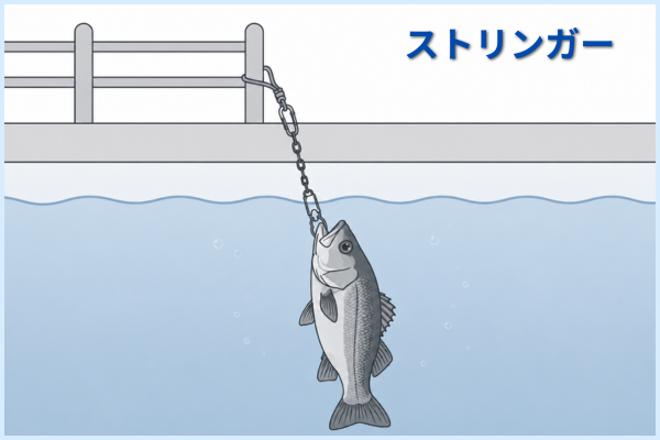 ストリンガーでつながれているシーバス(スズキ)