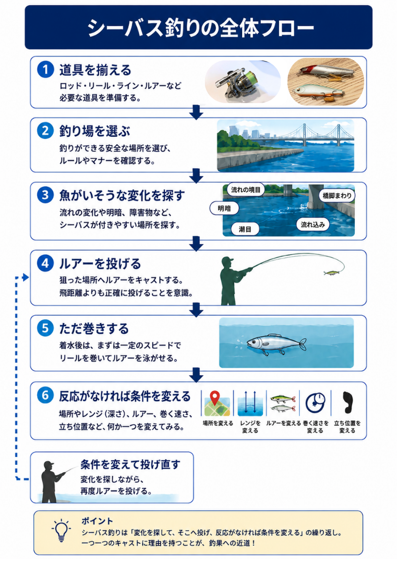 必要な道具を揃える
シーバスが釣れそうな場所を選ぶ
ルアーをセットする
シーバスがいそうな場所へ投げる
まずは普通にリールを巻く
釣れなければ場所・深さ・ルアーなどを変える
ヒットしたら魚を寄せてタモで取り込む