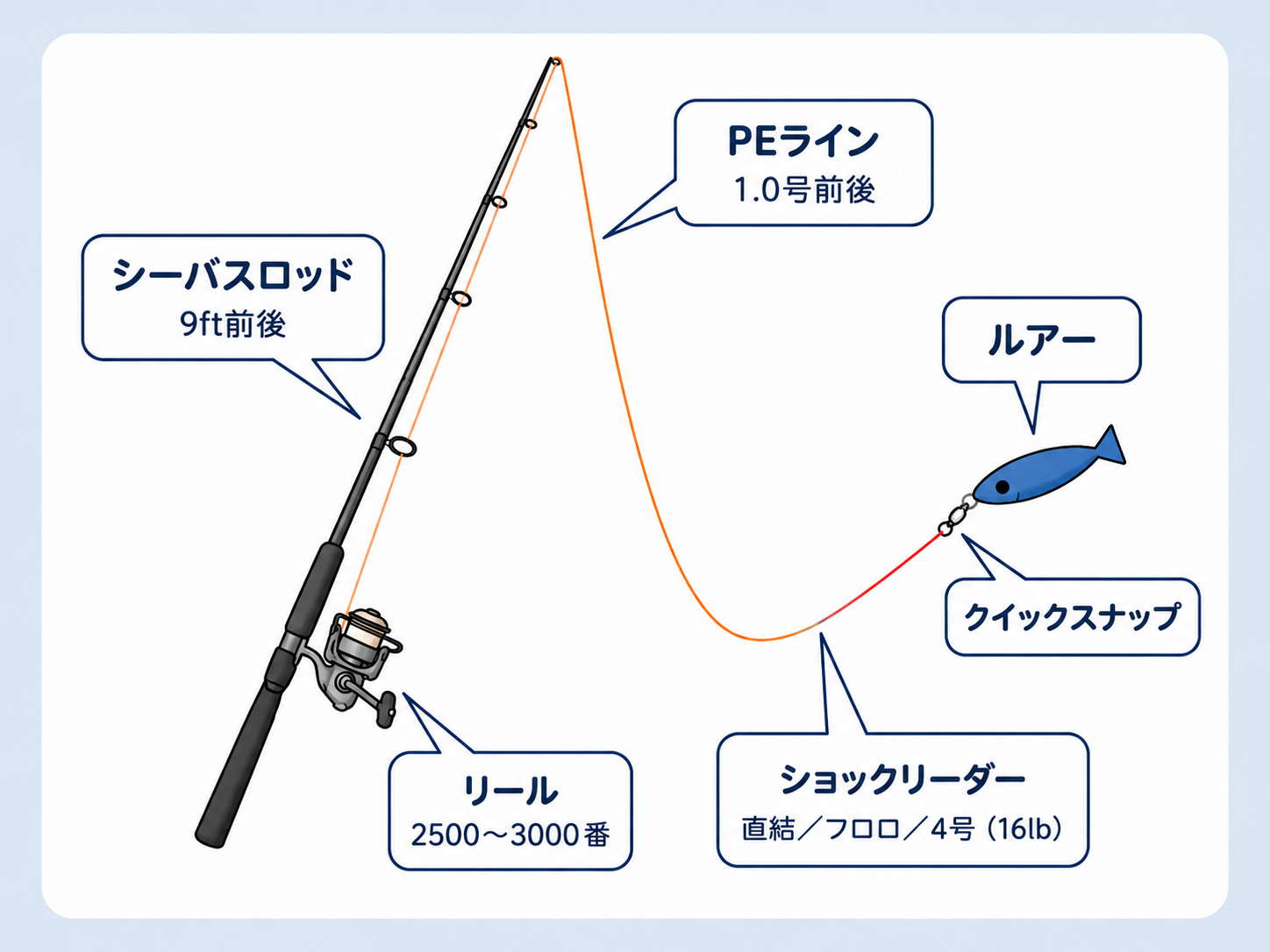 シーバスタックルの図版/シーバスロッド(9ft前後)/PEライン(1.0号前後)/ルアー/クイックスナップ/リール(2500~3000番)/ショックリーダー(直結/フロロ/4号(16lb)