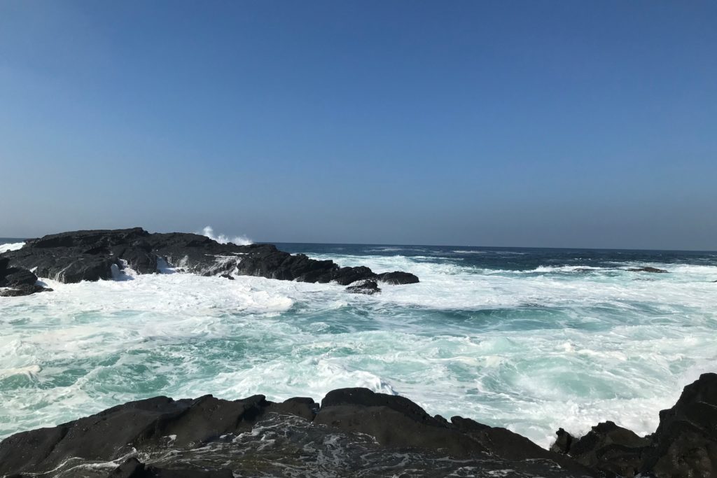 城ヶ島でまさかのシイラ ヒラスズキを狙っていたのだけど 09 05 釣れなくたっていいじゃないか