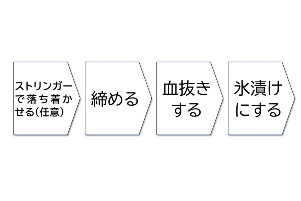 シーバス スズキ の締め方と持ち帰り方 釣れなくたっていいじゃないか