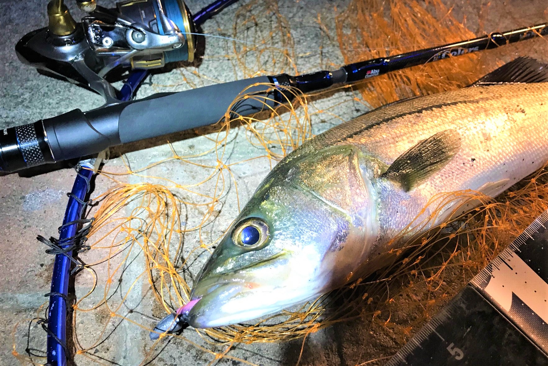 パック（モバイル）ロッドで仕事帰りに隅田川でシーバスを釣ってきた