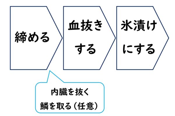 簡単 釣れた魚の締め方と持ち帰り方 釣れなくたっていいじゃないか