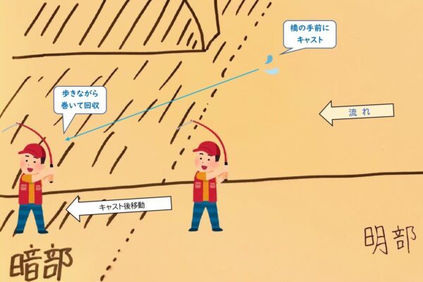 明暗での釣りイラスト