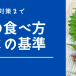 湾奥『検見川浜突堤』の情報と釣りのポイント【2023年4月版】