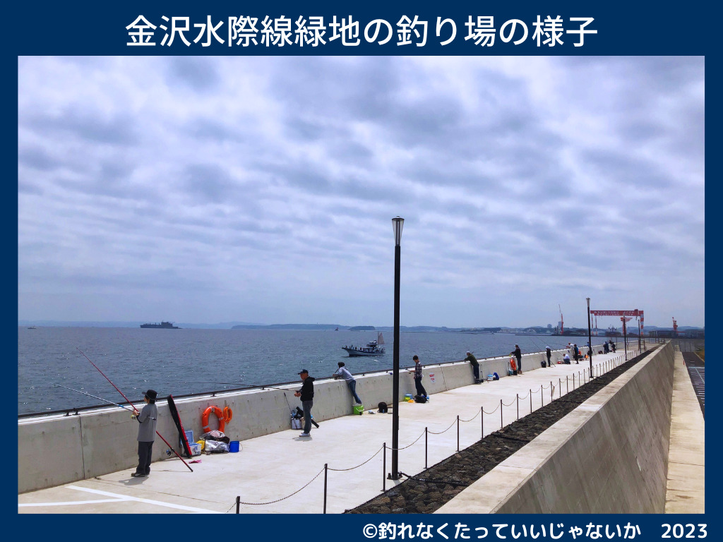 金沢海釣り施設（福浦岸壁・金沢水際線緑地）の釣り場の様子を写した画像