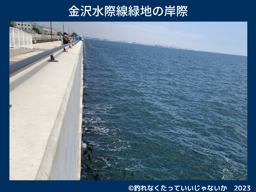 金沢海釣り施設（福浦岸壁・金沢水際線緑地）岸際の画像。かなり高くて要注意！